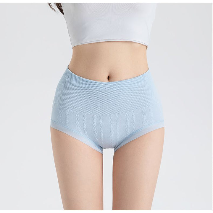 RIONA | HIGH WAIST CONTROL BRIEFS