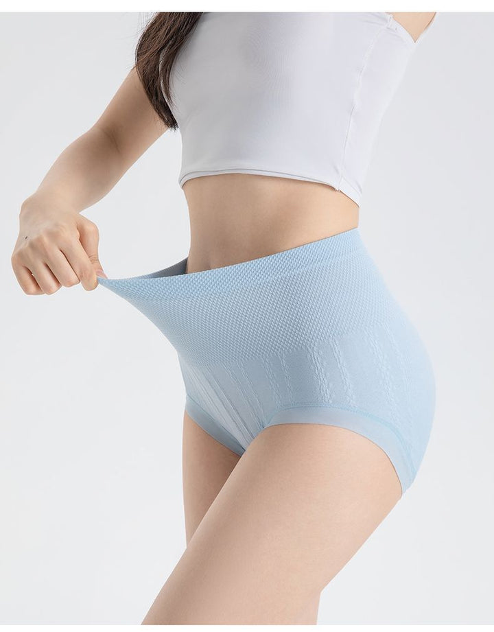 RIONA | HIGH WAIST CONTROL BRIEFS