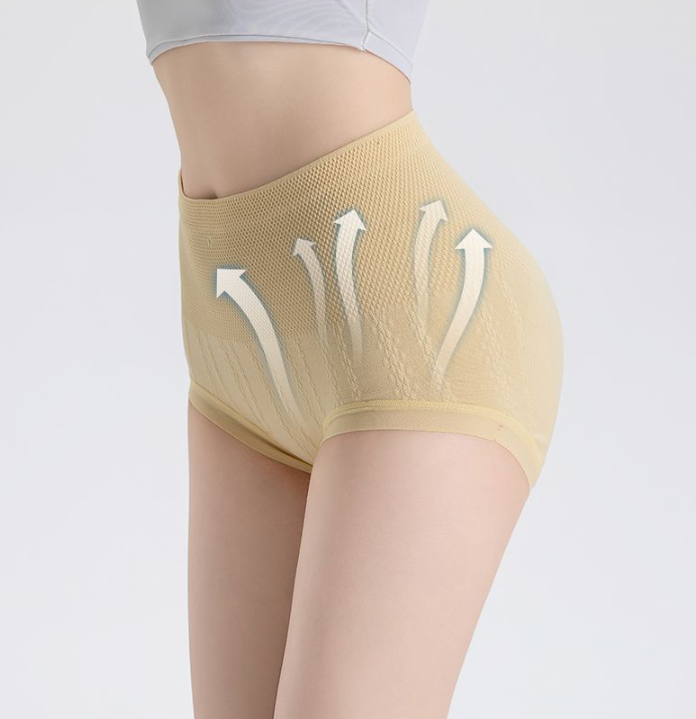 RIONA | HIGH WAIST CONTROL BRIEFS